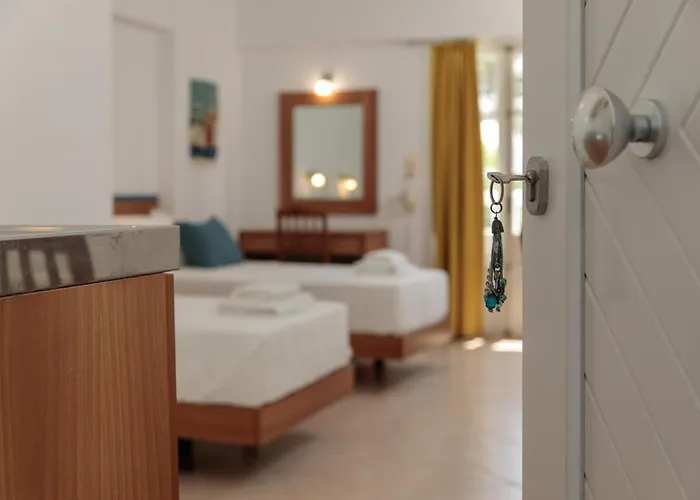 Evexia Naxos Lägenhet *